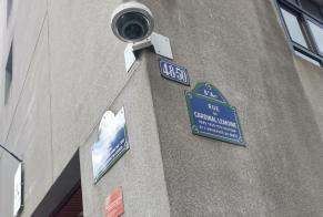 Discovery alert Dog Unknown Paris France