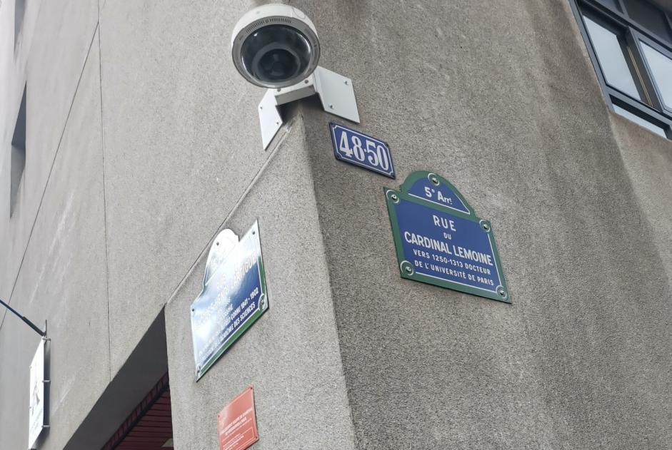 Alerte Découverte Chien Inconnu Paris France